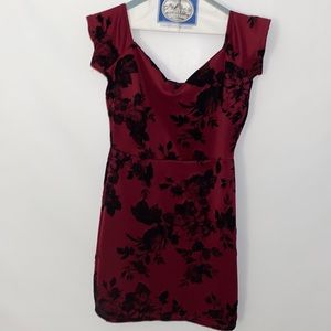 Windsor Dress Worn Once